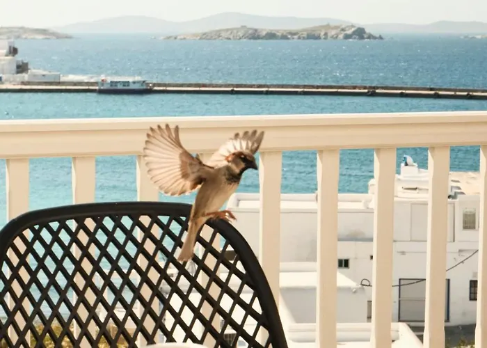 住宿加早餐酒店 Yalos Sunset View Private